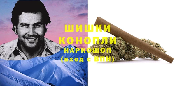 гидра Вязники