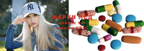 соль ск Вяземский