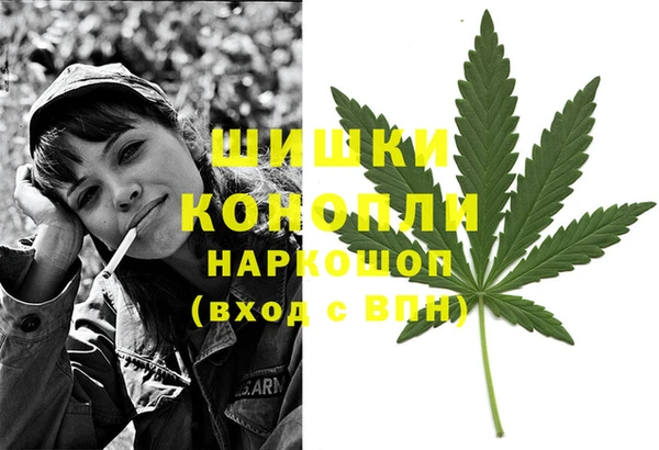 сатива Володарск