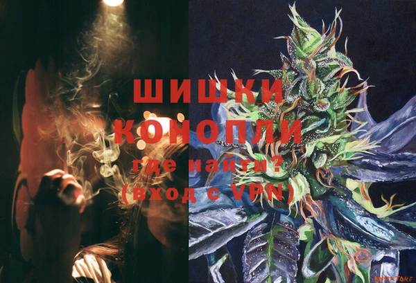 соль ск Вяземский