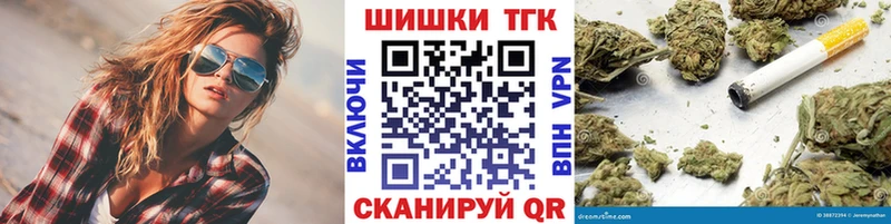 наркотики  Елизово  Марихуана сатива 
